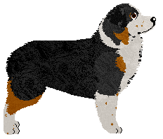 Tarot Give Me Grace — “Grace”