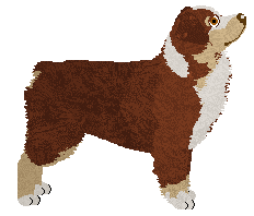 Profile image of Tarot Karma's Manifestation