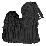 Wish's Black Licorice — “Jellybean”