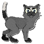 Profile image of King's Sailor Who Fell from Grace at Perfume