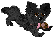 Sz/Chachke’s Shetland Black at Poppyhill — “Topple”
