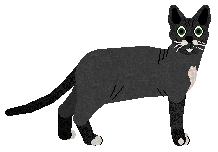 Profile image of The Mob's Black Mirror