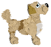 Funfetti's Amber Island Jewel — “Bakeapple”