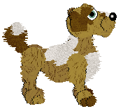 Funfetti/CXB'z Nutella on Toast — “Hazelnut”