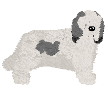 Profile image of Polka Kolorowy Wiatr
