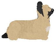 Redcap Mop of Hair — “Skye”