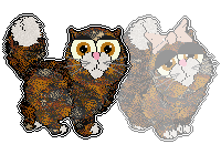 Profile image of Chachke's Little Miss Purrfect