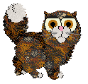 Chachke's Little Miss Purrfect — “Furby”