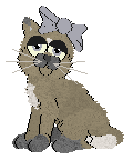 Profile image of Aniseed/Alohomora's Thread Lightly