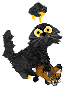 Winter's Scared by Thunder — “Spooked”