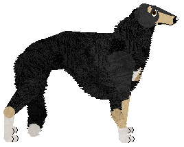 Cansas' Memento Mori — “Ivan”