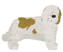 Profile image of Polka Dawny Władca