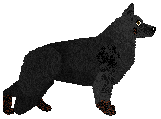 Dimon von Guardian — “Dimon”