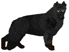 Profile image of Dimon von Guardian