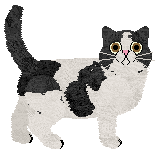 Nightwish Cow Goes Moo — “Misti”