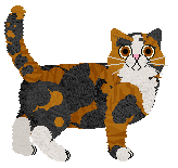 Nightwish A Girl Can Dream — “Glenda”