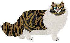 Elegant's Three Color Choice — “Tri”