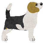 Dystoria's Pocket Rocket — “Soo”