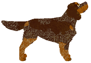Brytyjski's Molten Cocoa — “Molten”