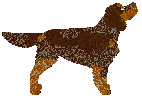 Profile image of Brytyjski's Molten Cocoa