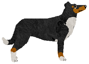 Rosestone's All Star Game — “Sabrina”