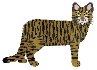 Pins'n'Needles' FLYING TIGER — “Tiger”