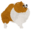 Cansas' What Does The Fox Say — “Foxy”