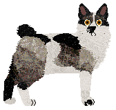 Hypnosis Just Go With It — “Minion”