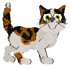 Funfetti's Lantern for Fireflies — “Arlen”