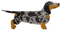 Profile image of Brytyjski's Christmas Dasher