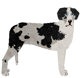 Profile image of Clamour's We're Feeling Kind of Snazzy
