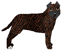 Profile image of Centuri Arietta for Kamvis