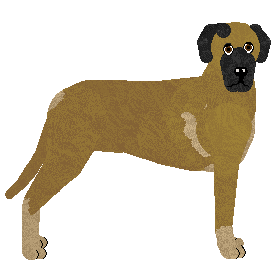 Profile image of UNGARIA Harpagon