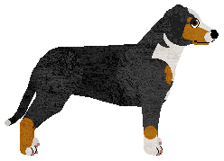 Cansas' Worth Nothing — “Allie”