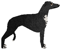 Dragosani SYN DIABŁA — “Miron”