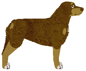 Profile image of Fletching Buried Deep