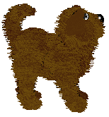 Cargo's Beary Beloved — “Bearly”