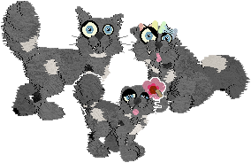 Profile image of EC's Ragweed