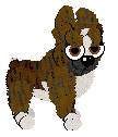 Mosswood Revelry's King Bruno — “Bruno”