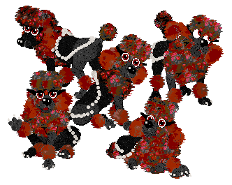 Profile image of Winter's Cover Me In Roses