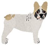 Broadstreet's Good Boy — “Bien”