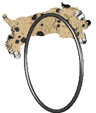 EC's Bridge — “Bridge”