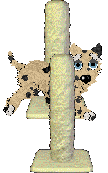 EC's Bridge — “Bridge”