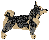 Profile image of Tsuerubu at VON