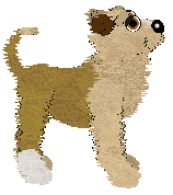 EC's Pinochle @ Mockingbird — “Pinochle”