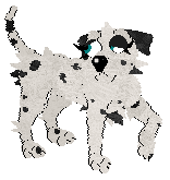 Winter's Spotted Gymnast — “Spotz”