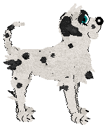 Winter's Spotted Gymnast — “Spotz”