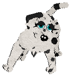 Winter's Spotted Gymnast — “Spotz”