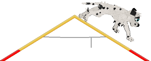 Winter's Spotted Gymnast — “Spotz”