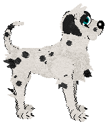 Winter's Spotted Gymnast — “Spotz”